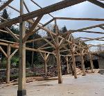 Charpente bois pour bâtiment agricole et forestier